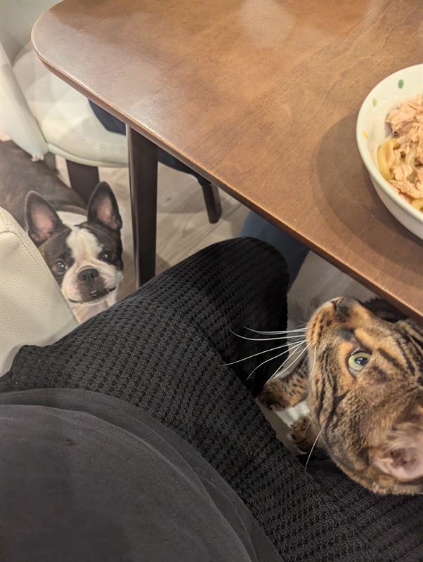 Munch eyeing a plate of pasta
